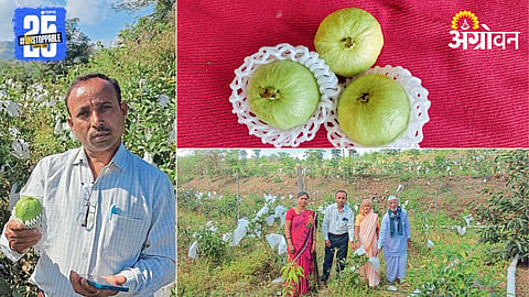 Agriculture Success Story