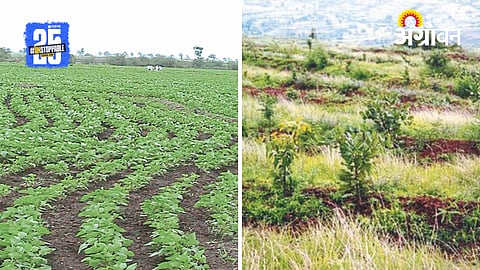 Soil Conservation