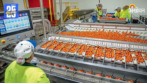 Ai Food Storage