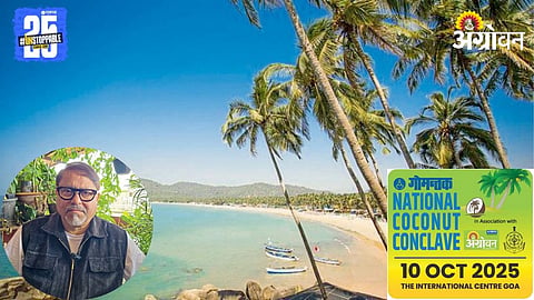 Coconut Farming 