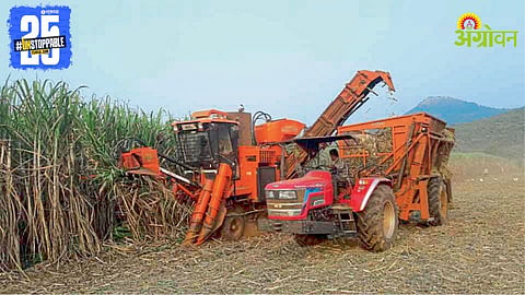 Sugarcane Farming