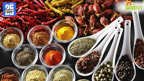 Spice Market