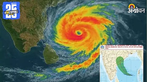 Montha Cyclone