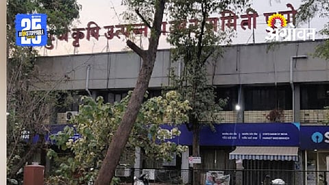 Pune APMC