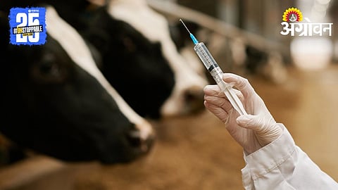 Vaccination care