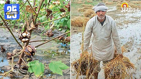 Agriculture Crop Damage