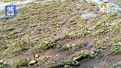 Kharif Season