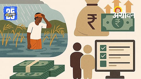 Farmer Subsidy