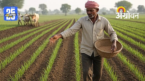 Rabi Sowing