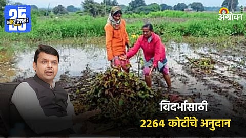 Crop Damage Subsidy