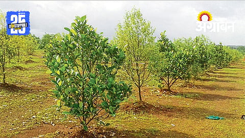 Carbon Credit