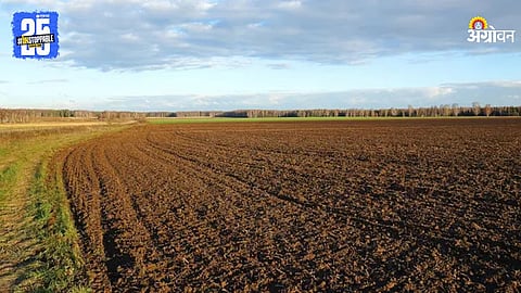 Fallow Land Sowing