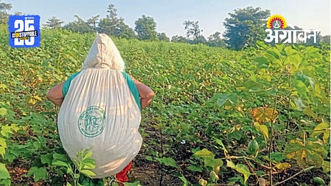 Agriculture Fraud