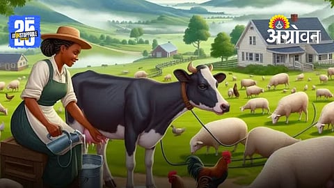 Dairy Farming