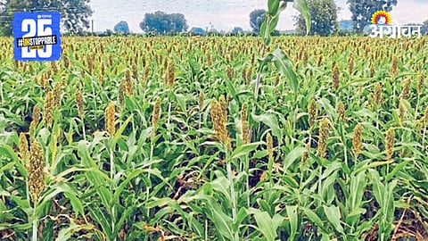 Kharif Crop