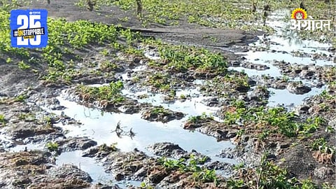 Crop Damage