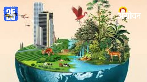 Biodiversity