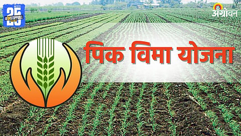  Crop Insurance 2025