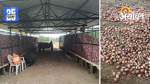 Onion Crisis