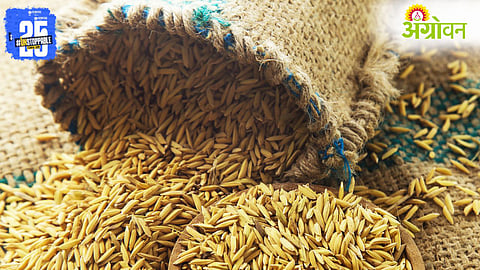 Kharif Prices Crash