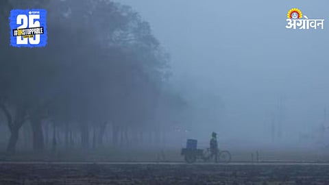 Cold Wave