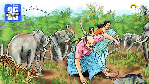 Wildlife Conflict