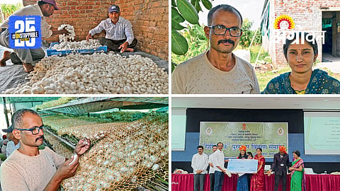 Silk Farming