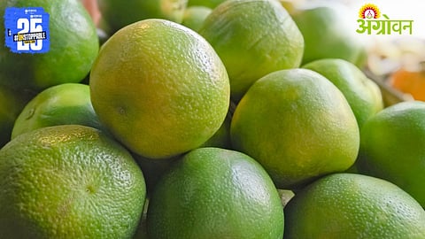 Sweet Lime 