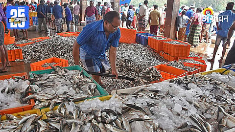 Fish Market