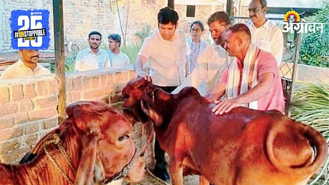 Farm Visit