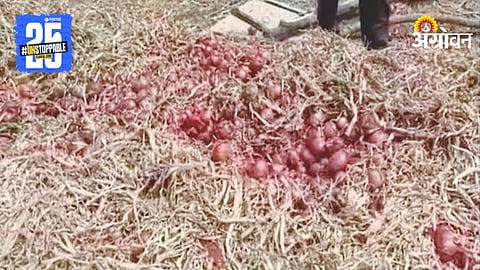 Onion Crop Damage