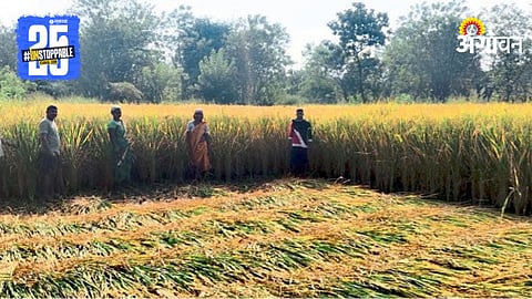 Harvest Delay