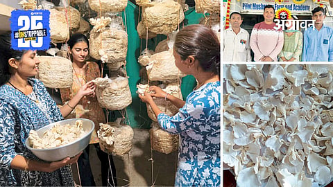 Mushroom Farming