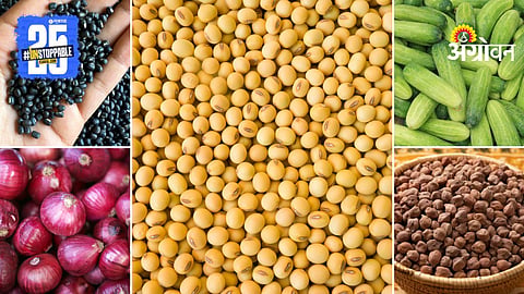 Market Products
