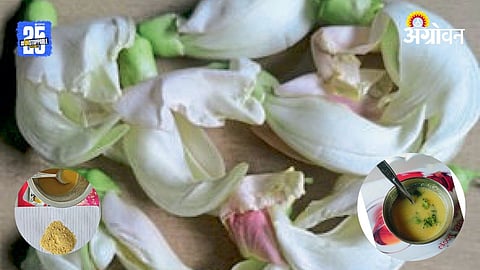 Hadga Flower Soup