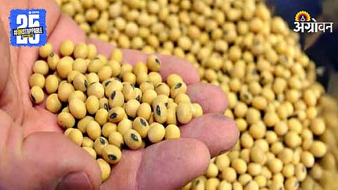 Soybean Market