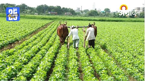 Rabi Sowing