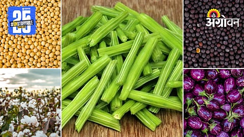 Agriculture Market Products