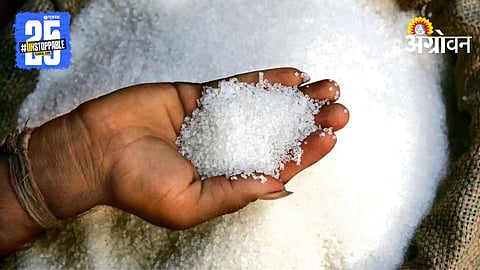 Sugar Market