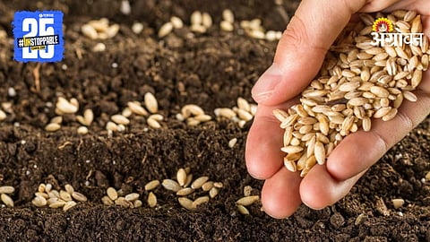Wheat Sowing