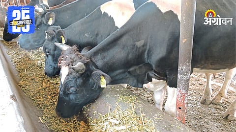 Animal Care