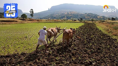 Partnership Farming