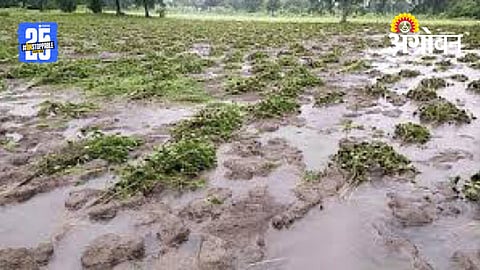Farmer Relief