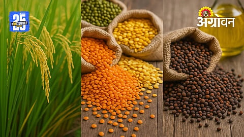 Crop Production