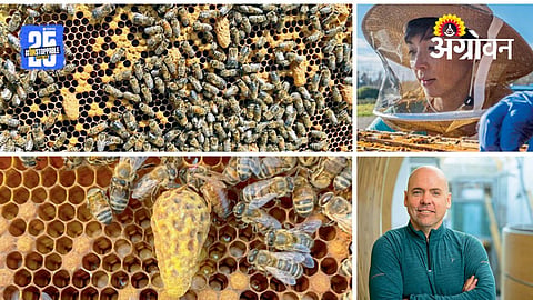 Honey Bee Science