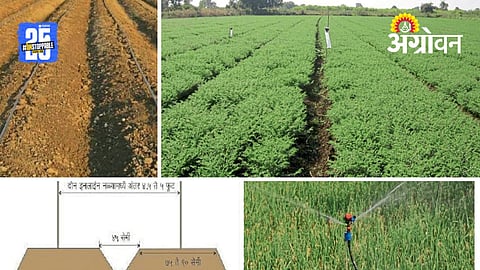 Micro Irrigation