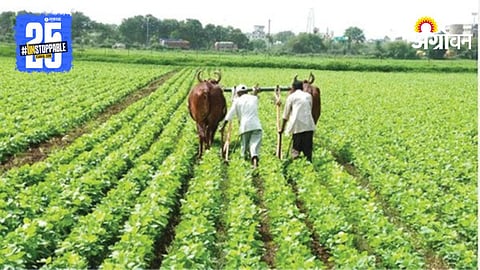 Rabi Sowing