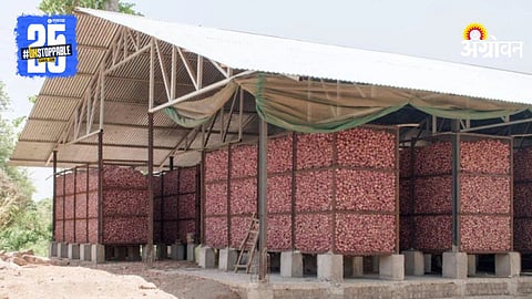 Onion Storage