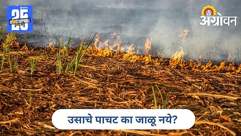 Farm Burning