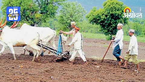 Land Ownership